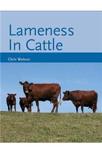 Lameness in Cattle