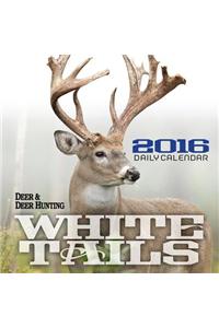 Whitetails 2016 Daily Calendar