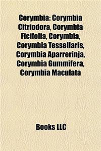 Corymbia: Corymbia Citriodora, Corymbia Ficifolia, Corymbia Tessellaris, Corymbia Aparrerinja, Corymbia Gummifera, Corymbia Macu