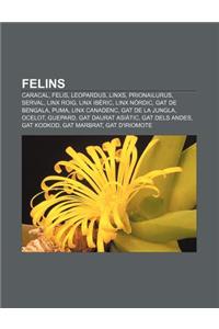 Felins: Caracal, Felis, Leopardus, Linxs, Prionailurus, Serval, Linx Roig, Linx Iberic, Linx Nordic, Gat de Bengala, Puma, Lin