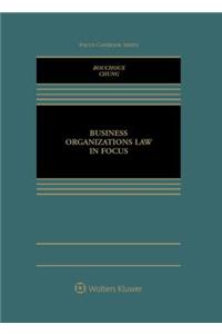 Business Organizations in Focus