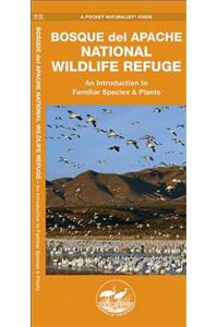 Bosque del Apache National Wildlife Refuge: A Folding Pocket Guide to Familiar Species & Plants