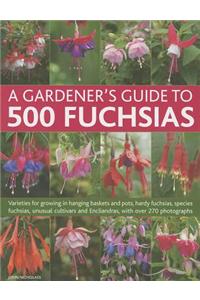 A Gardener's Guide to 500 Fuchsias: Varieties for Growing in Hanging Baskets and Pots, Hardy Fuchsias, Unusual Cultivars and Encliandras, with Over 27