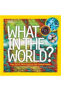 What in the World?: Fun-Tastic Photo Puzzles for Curious Minds