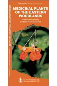 Medicinal and Other Useful Plants of the Eastern Woodlands