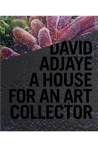 David Adjaye: A House for an Art Collector