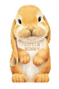 Little Bunny