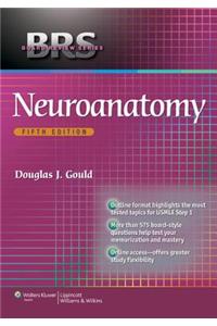 Neuroanatomy