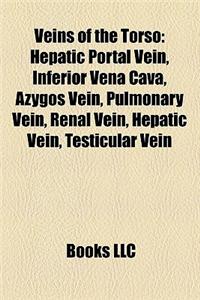Veins of the Torso: Hepatic Portal Vein, Inferior Vena Cava, Azygos Vein, Pulmonary Vein, Renal Vein, Testicular Vein, Superior Vena Cava