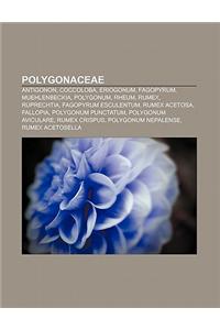 Polygonaceae: Antigonon, Coccoloba, Eriogonum, Fagopyrum, Muehlenbeckia, Polygonum, Rheum, Rumex, Ruprechtia, Fagopyrum Esculentum