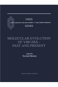 Molecular Evolution of Viruses Past and Present