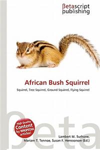 African Bush Squirrel