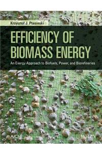 Efficiency of Biomass Energy: An Exergy Approach to Biofuels, Power, and Biorefineries