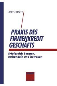 Praxis Des Firmenkreditgeschaftes: Erfolgreich Beraten, Verhandeln Und Betreuen