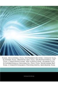 Articles on Fleas, Including: Flea, Stephanocircidae, Chigoe Flea, Echidna Flea, Oriental Rat Flea, Saurophthirus, Cat Flea, Ceratophyllidae, Hectop