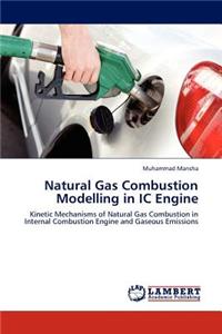 Natural Gas Combustion Modelling in IC Engine