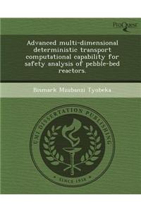 Advanced Multi-Dimensional Deterministic Transport Computational Capability for Safety Analysis of Pebble-Bed Reactors.
