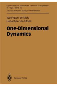 One-Dimensional Dynamics