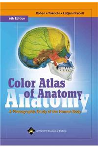 Color Atlas of Anatomy