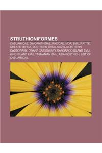 Struthioniformes: Casuariidae, Dinornithidae, Rheidae, Moa, Emu, Ratite, Greater Rhea, Southern Cassowary, Northern Cassowary, Dwarf Cas