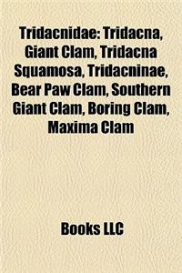 Tridacnidae: Tridacna, Giant Clam, Tridacna Squamosa, Tridacninae, Bear Paw Clam, Southern Giant Clam, Boring Clam, Maxima Clam