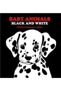 Baby Animals Black and White