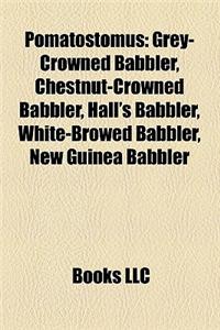 Pomatostomus: Grey-Crowned Babbler, Chestnut-Crowned Babbler, Hall's Babbler, White-Browed Babbler, New Guinea Babbler