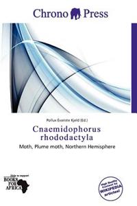 Cnaemidophorus Rhododactyla