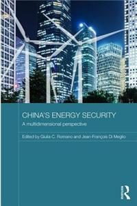 China's Energy Security: A Multidimensional Perspective