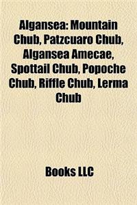 Algansea: Mountain Chub, Patzcuaro Chub, Spottail Chub, Popoche Chub, Riffle Chub, Lerma Chub, Algansea Amecae,