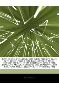 Articles on Kites (Birds), Including: Kite (Bird), Red Kite, Black Kite, Black-Winged Kite, Brahminy Kite, Black-Shouldered Kite, White-Tailed Kite, E