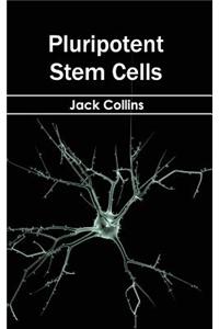 Pluripotent Stem Cells