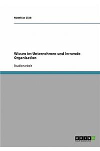 Wissen Im Unternehmen Und Lernende Organisation