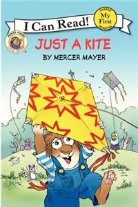 Little Critter: Just a Kite