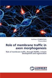 Role of Membrane Traffic in Axon Morphogenesis