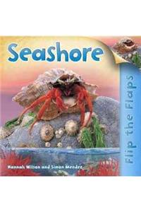 Flip the Flaps: Seashore
