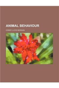 Animal Behaviour