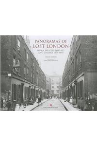 Panoramas of Lost London: Work, Wealth, Poverty & Change 1870-1945, an English Heritage Book