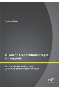 It Client Architekturkonzepte Im Vergleich