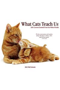 What Cats Teach Us 2012 Calendar