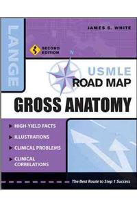Gross Anatomy