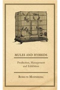 Mules and Hybrids - Production, Management and Exhibition