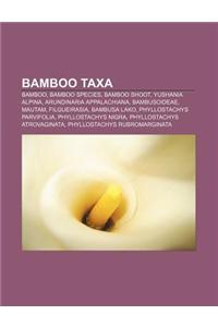 Bamboo Taxa: Bamboo, Bamboo Species, Bamboo Shoot, Yushania Alpina, Arundinaria Appalachiana, Bambusoideae, Mautam, Filgueirasia, B