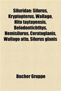 Siluridae: Silurus, Kryptopterus, Wallago, Hito Taytayensis, Belodontichthys, Hemisilurus, Ceratoglanis, Wallago Attu, Silurus Gl