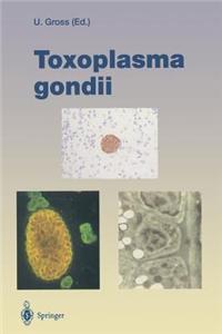 Toxoplasma Gondii