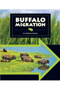 Buffalo Migration