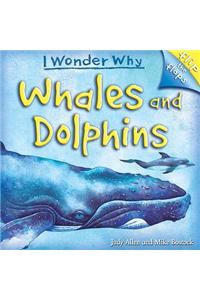 Flip The Flaps Whales And Dolphins