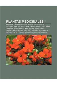 Plantas Medicinales: Nenufar, Castanea Sativa, Manihot Esculenta, Juglans, Arachis Hypogaea, Carica Papaya, Castanea Crenata, Agave America