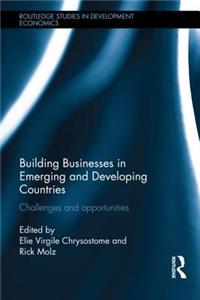 Building Businesses in Emerging and Developing Countries: Challenges and Opportunities