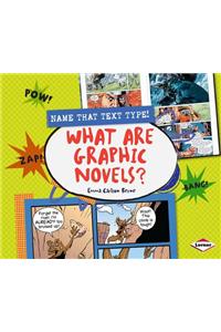 What Are Graphic Novels?